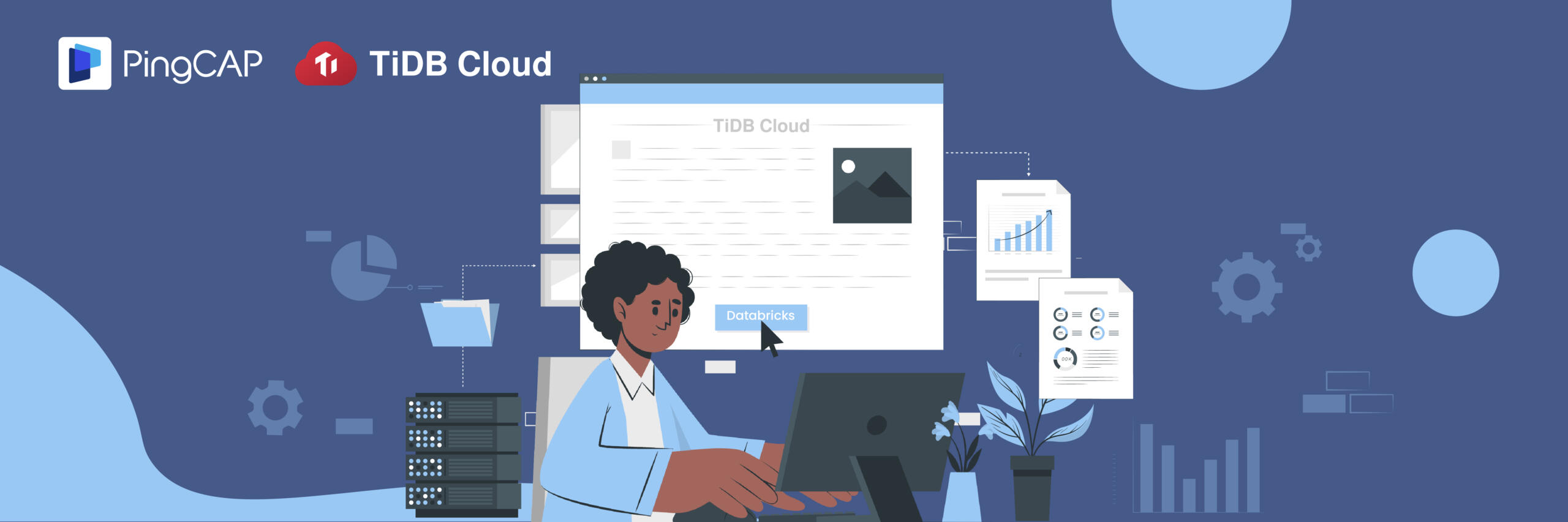 tidbcloud-databricks