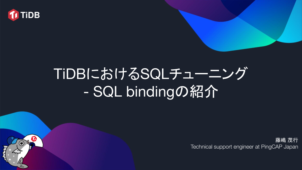 2023-04 - Webinar - SQL Binding