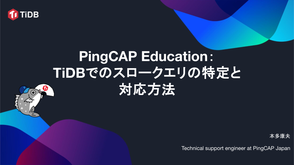 2022-11 - Slow Query