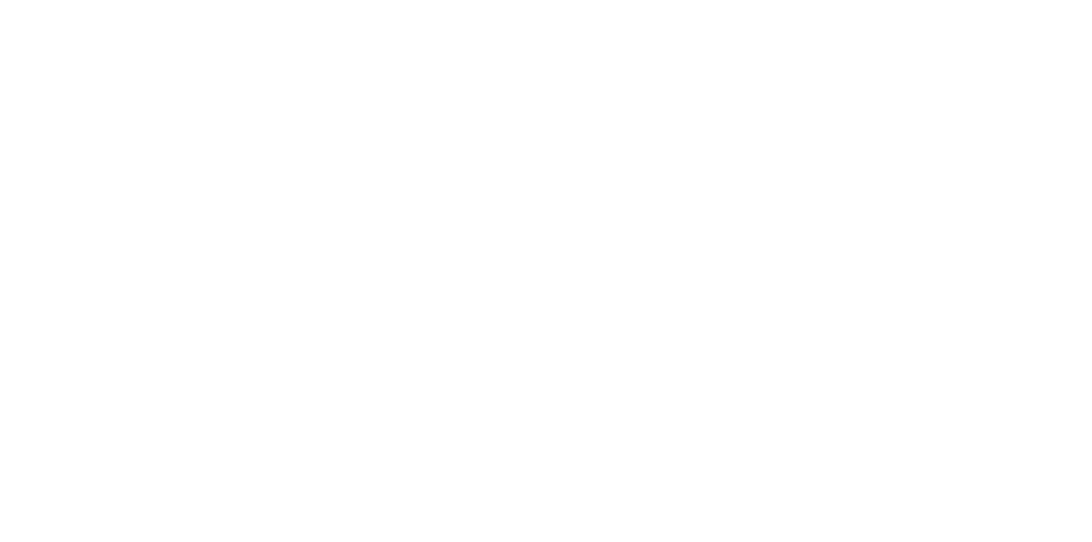 Logo_istyle_White