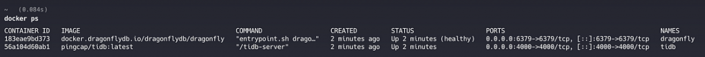 Both TiDB and Dragonfly are running inside Docker â TiDB on port 4000, Dragonfly on port 6379.