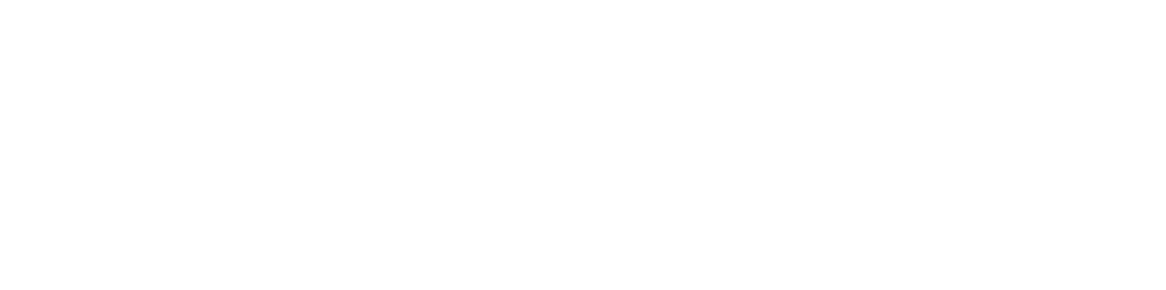 Difi-logo